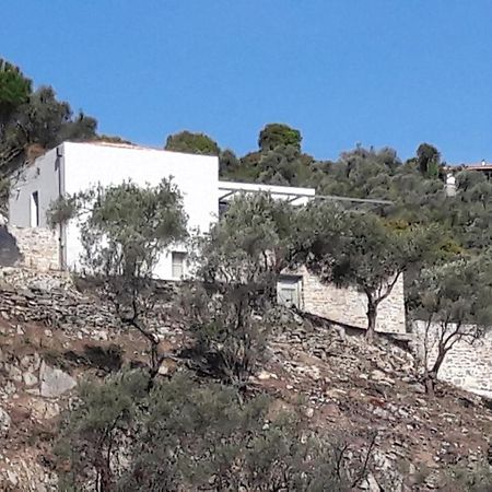 House Λ Villa Moni Evaggelistrias Buitenkant foto