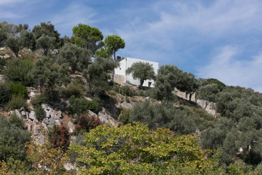 House Λ Villa Moni Evaggelistrias Buitenkant foto
