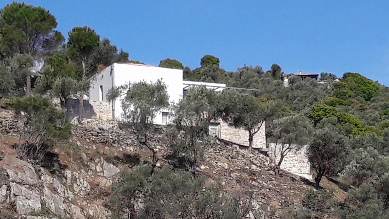House Λ Villa Moni Evaggelistrias Buitenkant foto