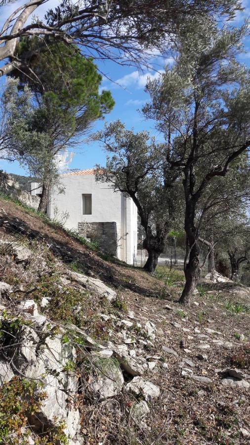 House Λ Villa Moni Evaggelistrias Buitenkant foto